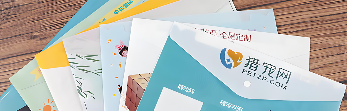 公文袋